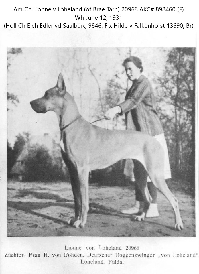 Lionne von Loheland